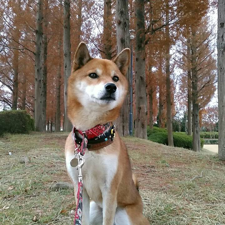 A80e8904 9a5a 42ea 8121 2d83f63752dd 1575592732107