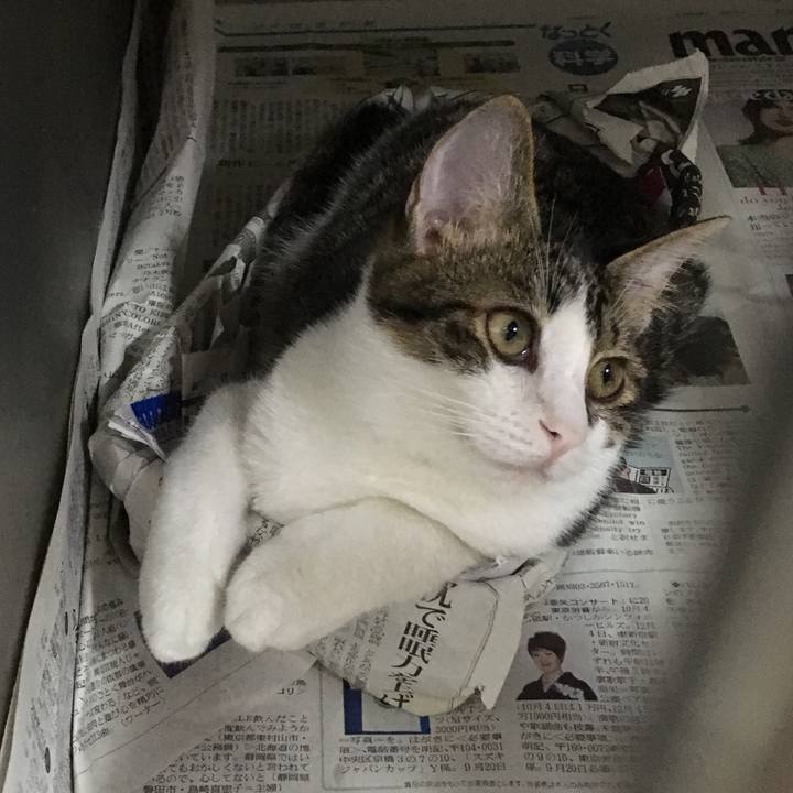 A80ec9e6 4f5f 486b 9552 8d85c126f65c 1539774665558