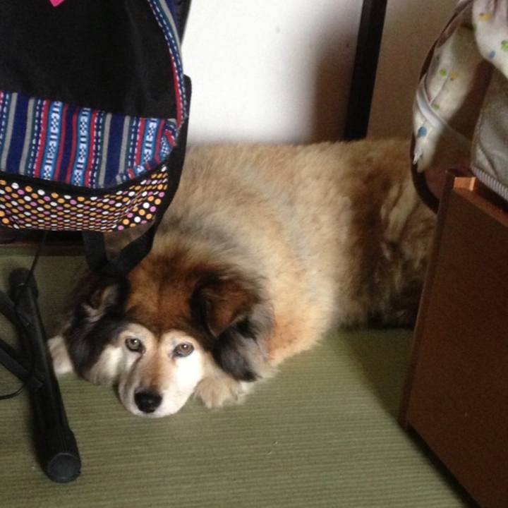 A80ecd46 1448 4bbc 8408 1f644c90994f 1642580665445