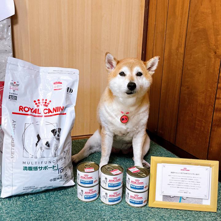 A80ed1d5 d458 489b b7f8 ebb6f16921bd 1721615789732