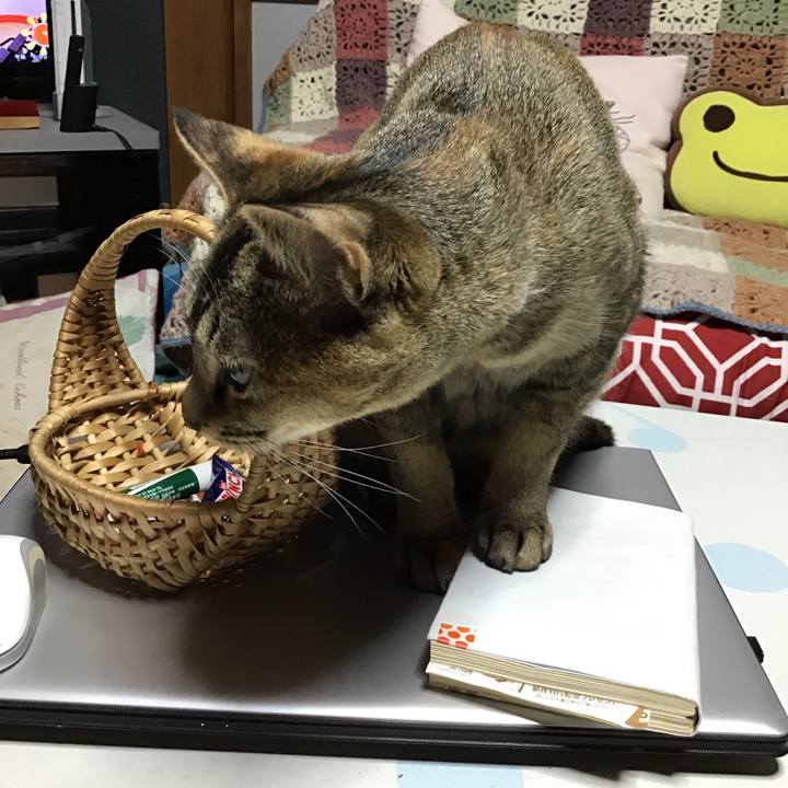 A80ee106 ec5b 4c28 b950 353dfb8599c6 1580206093784