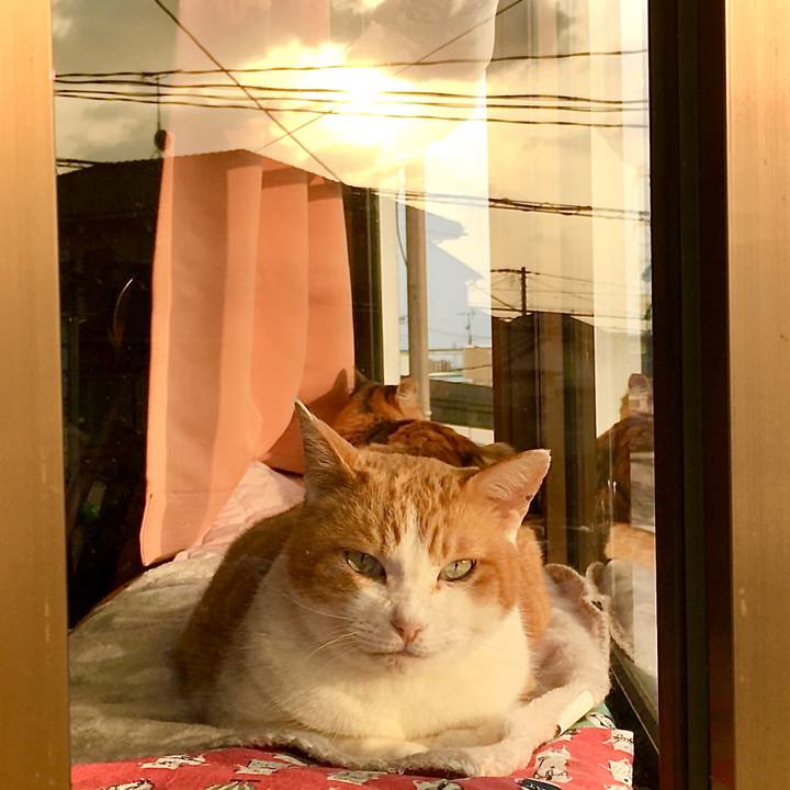 A80ee7a0 077e 4e26 967f 2125d37d8eaf 1615016607691