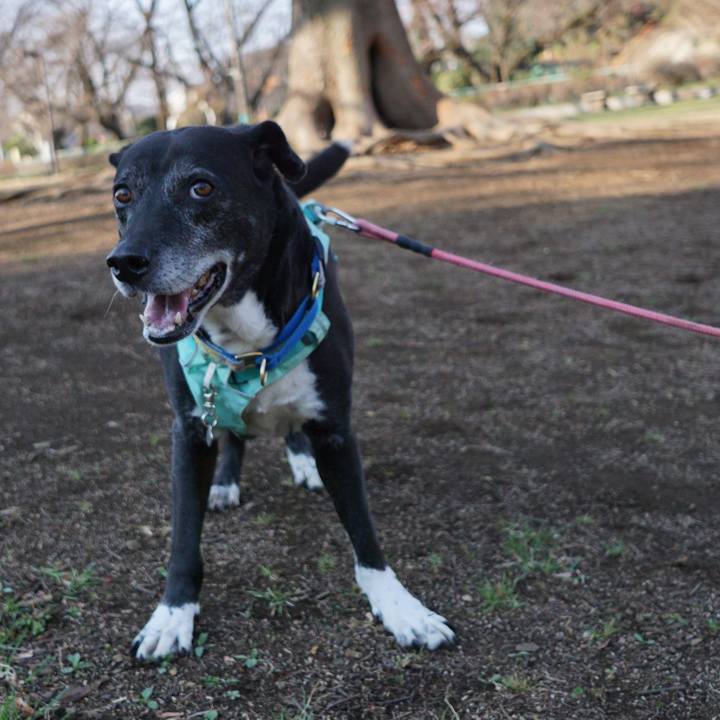 A80efb40 996d 491f aeb7 f3e35dd1c3b5 1774054837069