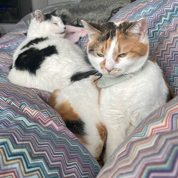 A80f0fa7 9f22 4f6a b641 d9d6a0928174 1676785595534