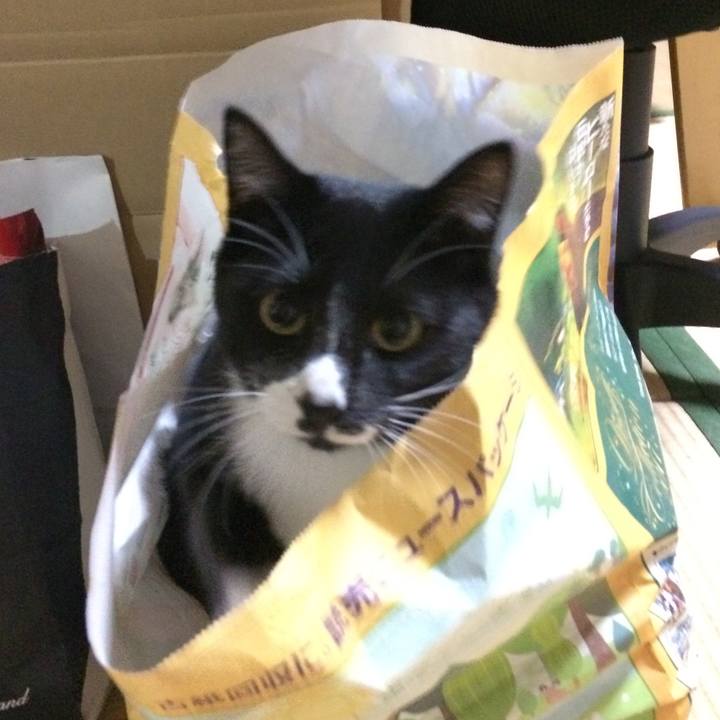 A80f1b04 695b 470e 9541 4be0f9217e87 1509421799407