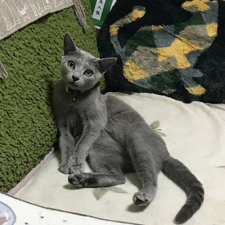 A80f3601 7eb4 4c25 8dee 84e697083e6b 1520460457303