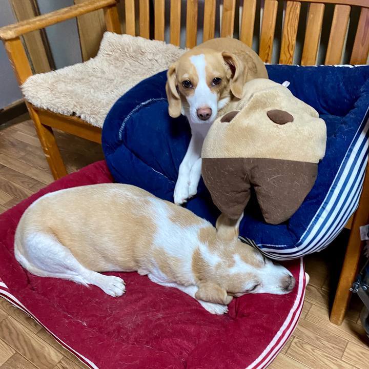 A80f5734 9e3a 489b 8726 e1be406c40b2 1590453603464