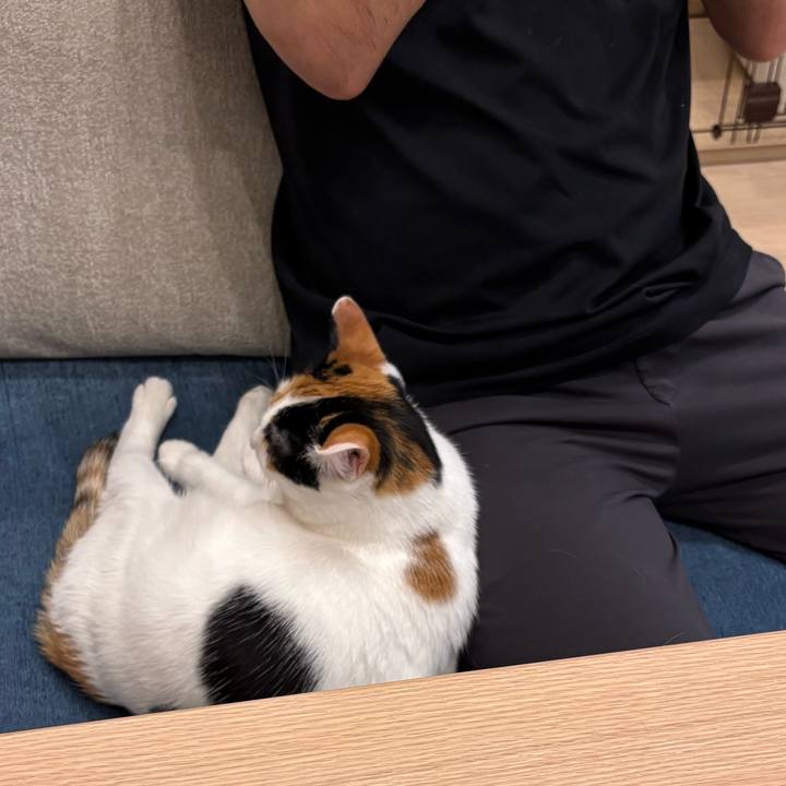 A80f8ec7 83f4 42bc b2e0 0b29a75c1b9e 1775388582984