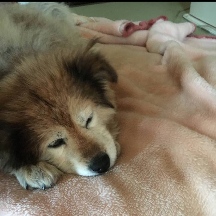 A81002ea 319c 4bcb 9c5a 892f41e094cd 1648299470579