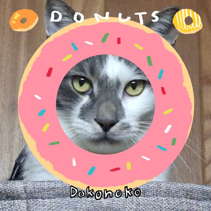 A81002ed 995a 4c18 9639 e4a2dacdf775 1744353883918