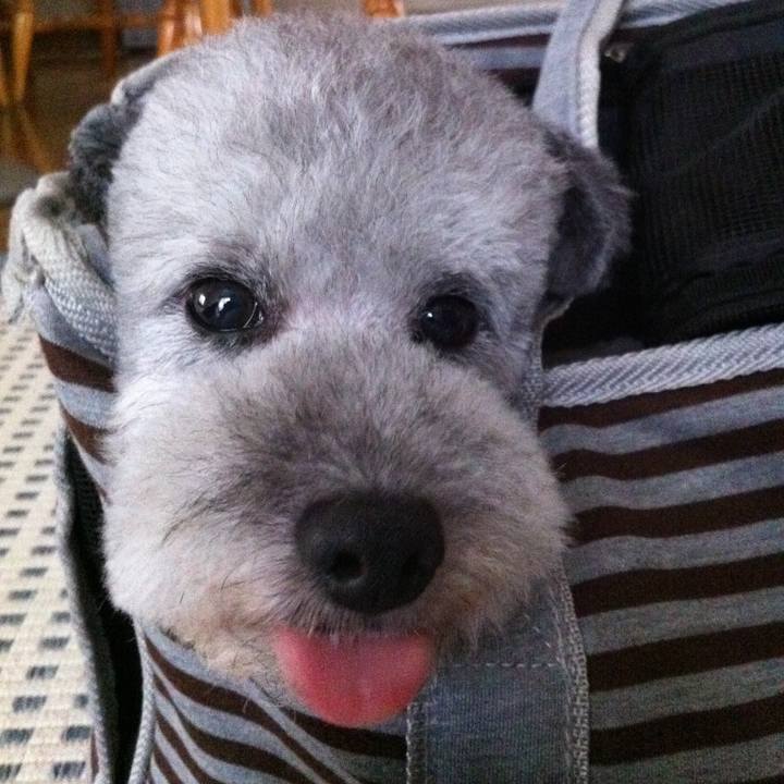 A810108f a0bc 4f61 b314 f636b4b29e74 1692667806019