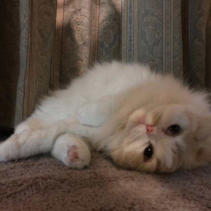 A8102c81 4aa8 4e6f 9361 061d243918fc 1512915165956