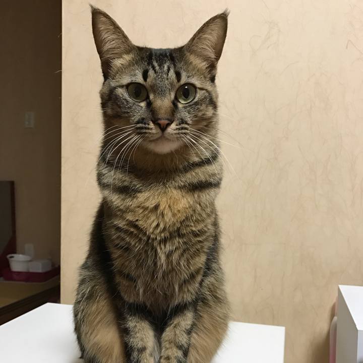 A8103f39 d128 4b50 8698 6775fdac2d05 1508281766539