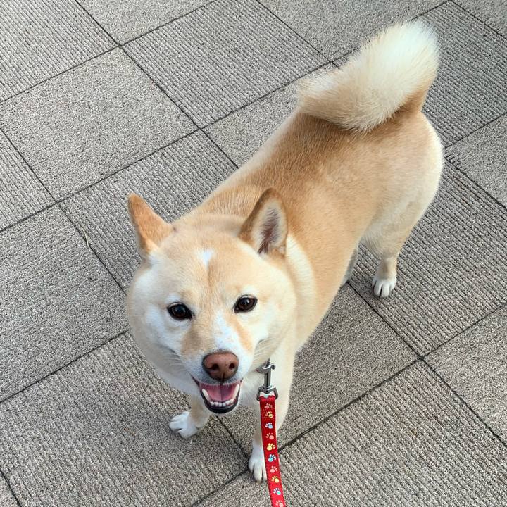 A81070fd 2059 45a8 b897 24109bf674c8 1622461735147