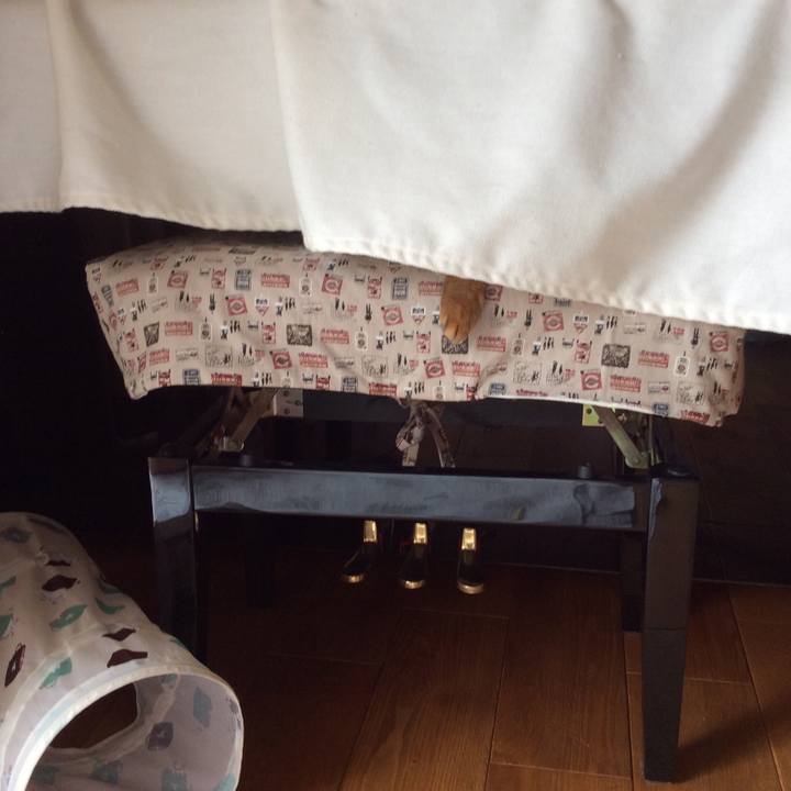 A81078db e9c6 464b 80b7 0a10ad545b00 1587161739685