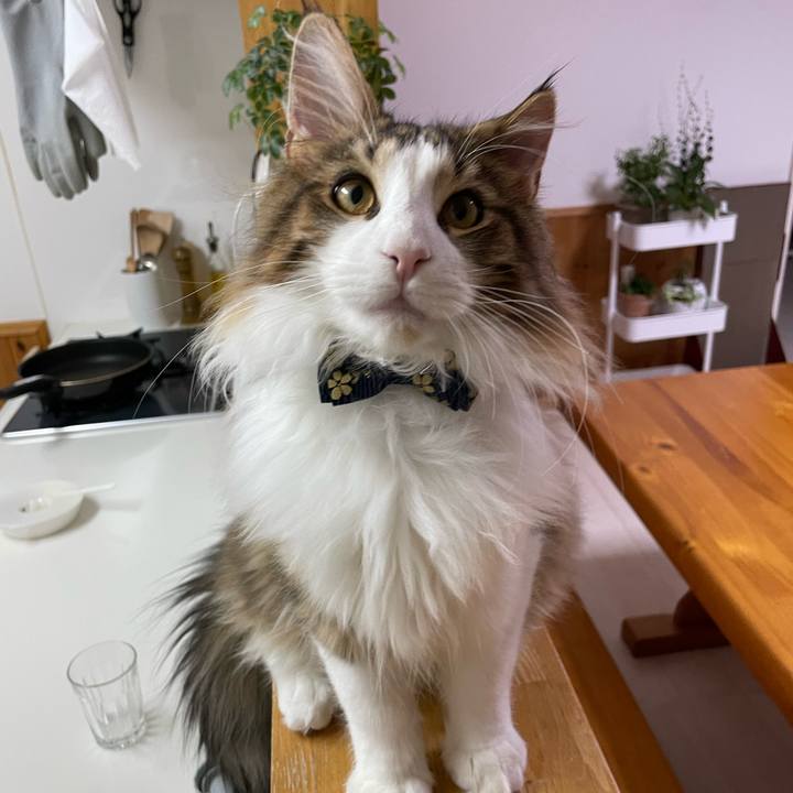 A810d163 2454 4f75 8183 fbaae41d7df5 1640030331471