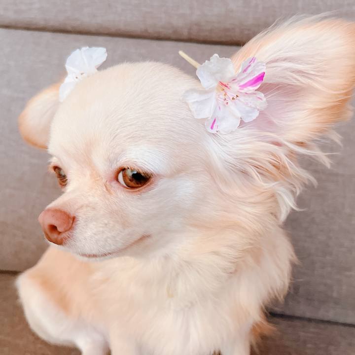 A810e990 9779 4296 aa0e 999d9beaf664 1657511743261