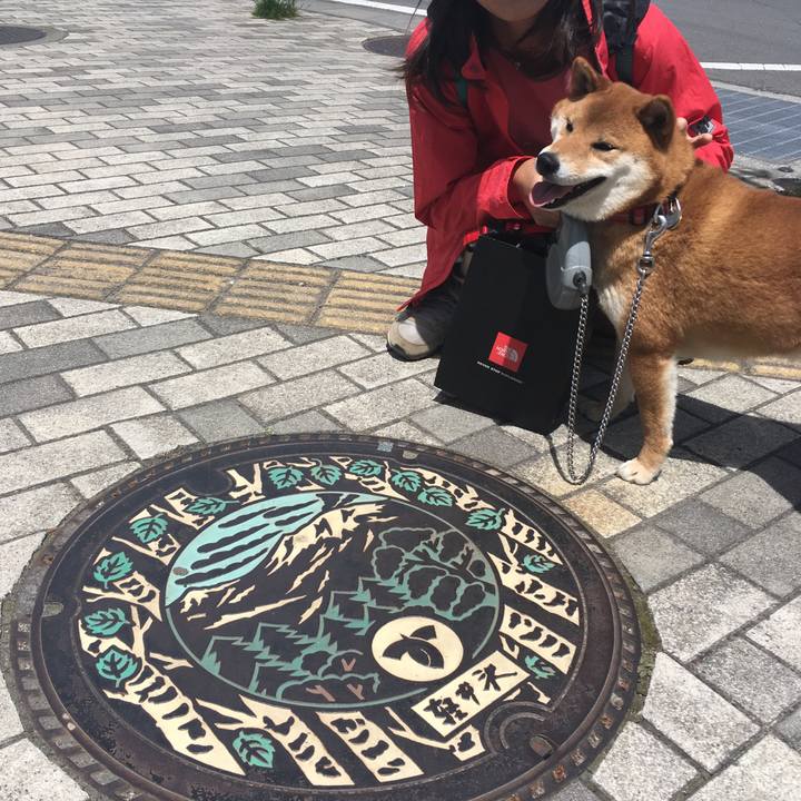 A8111398 7a06 44d7 835b 1a2015453dd2 1525856171301