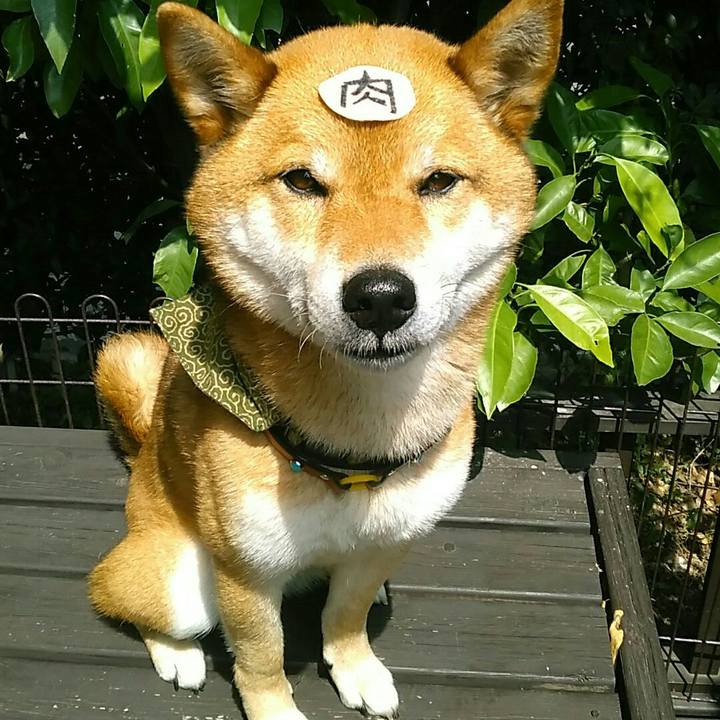 A811310e 18e6 4b19 82a3 06ccb5580f05 1527568286919