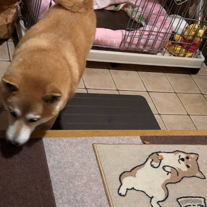 A8116af4 017a 43b9 9a0f 627895f96f6a 1601292338497