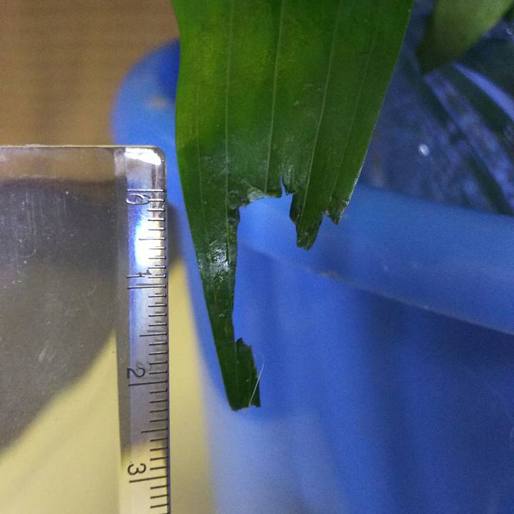 A81175d5 d161 4001 8104 b5ab910b12d3 1534133095348