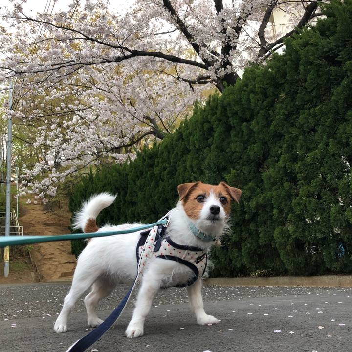 A8117ef1 de1c 4976 98cc 669aea077e86 1554412121831