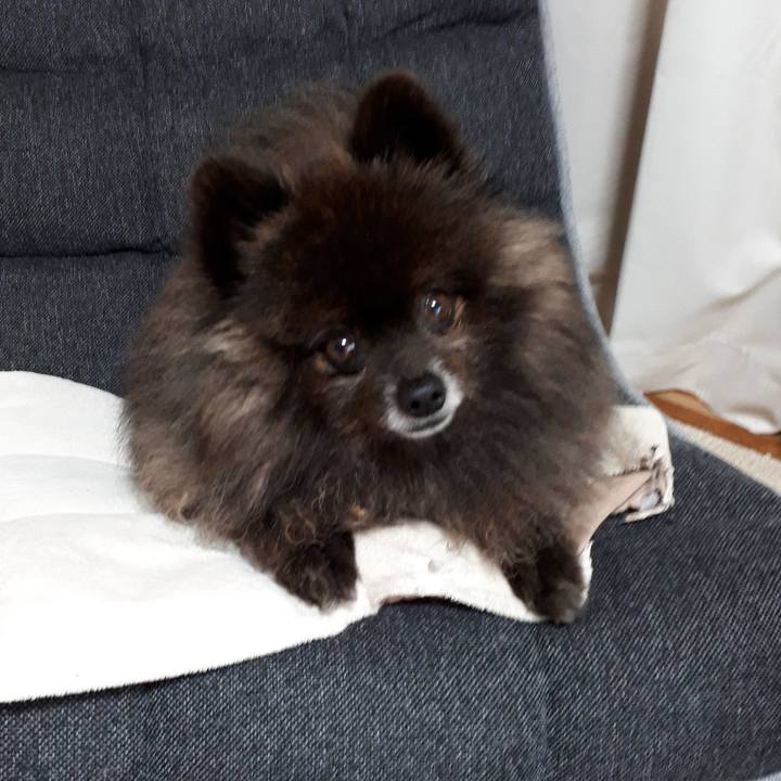 A811909e a6f6 49bc b649 af6cd2f7caef 1521517365905