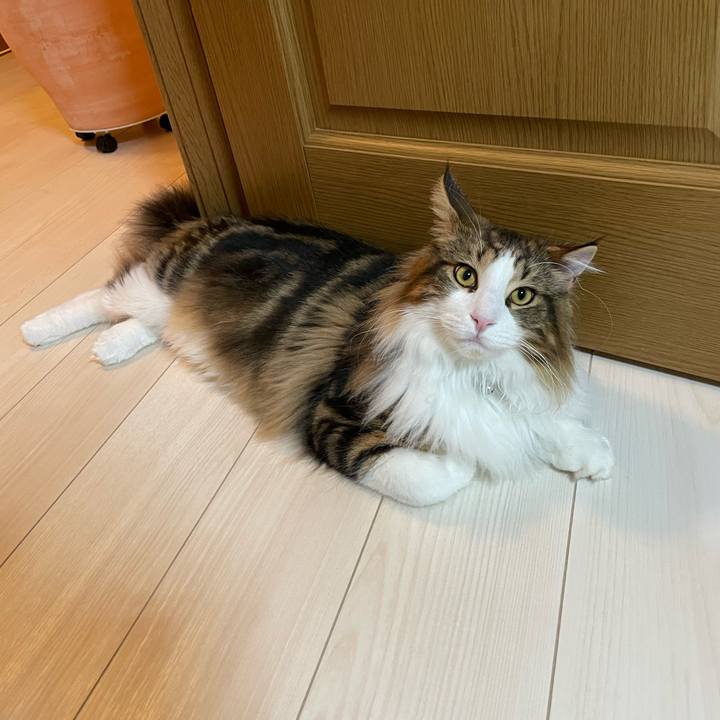 A811f097 e44f 4deb b293 f34aad569bcb 1644957407161