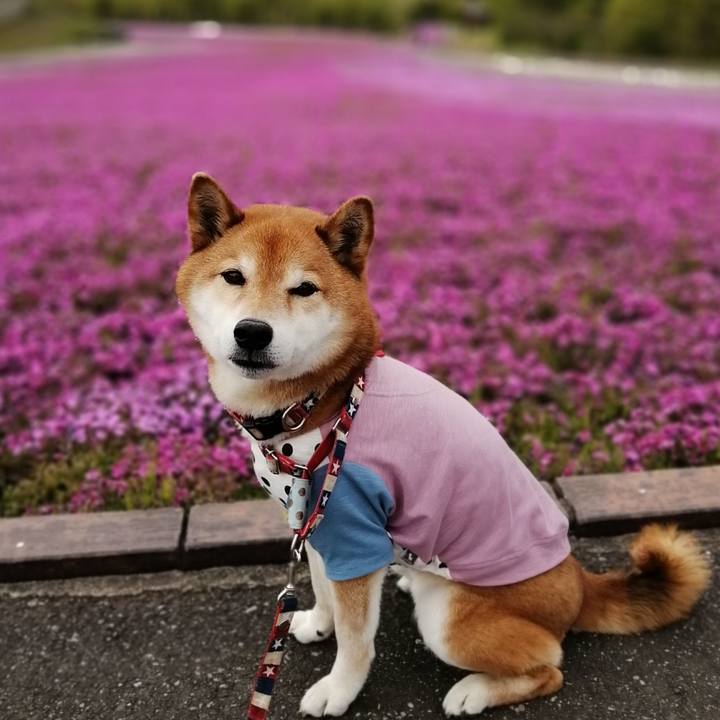 A811f4b6 ad20 4fa4 9914 f72840850571 1682519185327