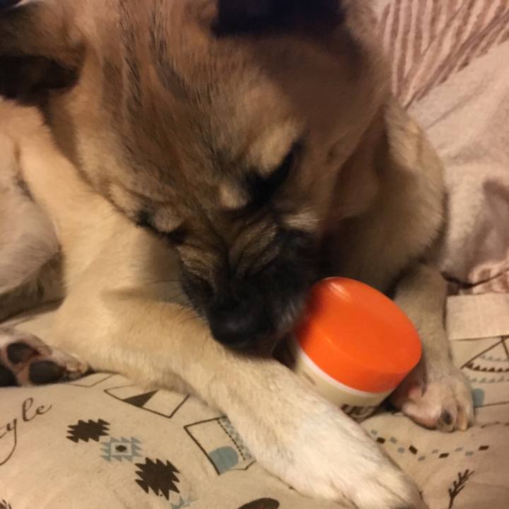 A812117c 28b1 4135 a84e 6480619c8af7 1515149312862