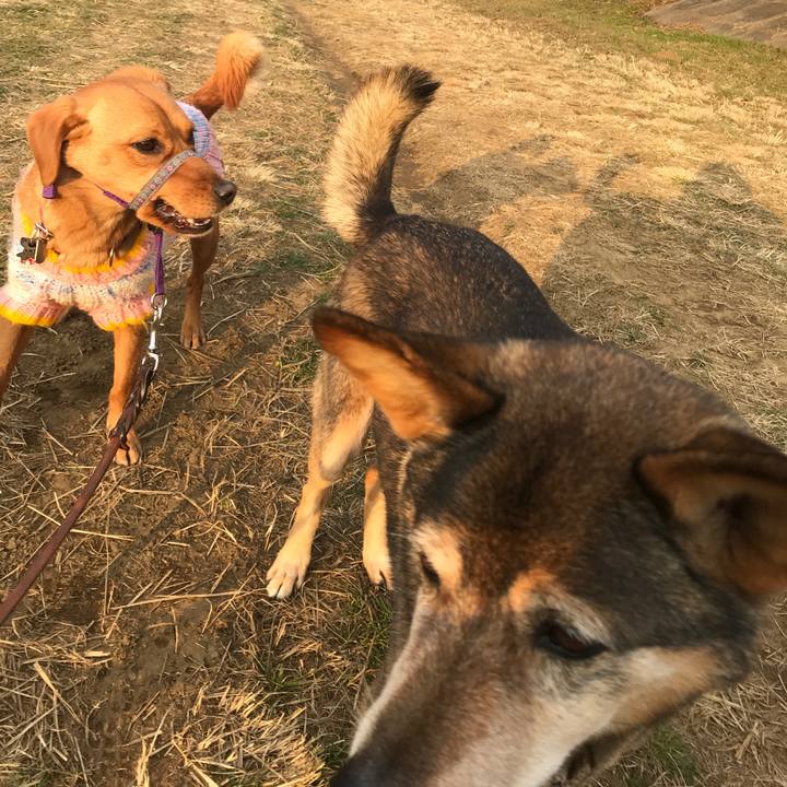 A81230e9 8da2 42e6 8ef9 2791b4f974fd 1518775138154