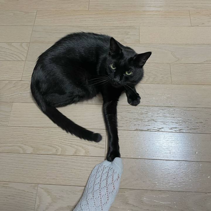 A8124fae f918 4022 b09f 704eb0256a22 1690710588317