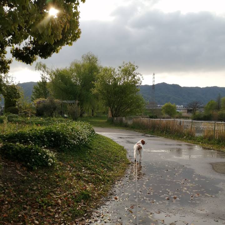 A8125302 744d 4e03 98cc 780c94124ba8 1587427254506