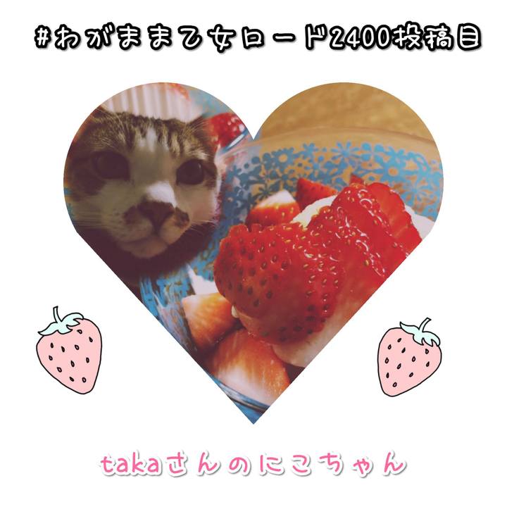 A812eb7b 5898 4419 958e afafa9d2cea7 1579749406136