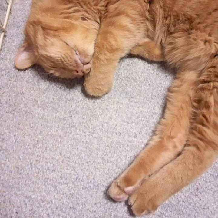 A81302c1 7ce5 41a1 88bf 3815c175becd 1686701571733