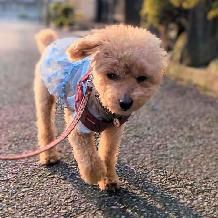 A81305b6 caff 44eb a121 bd0b4798eccc 1751324279064