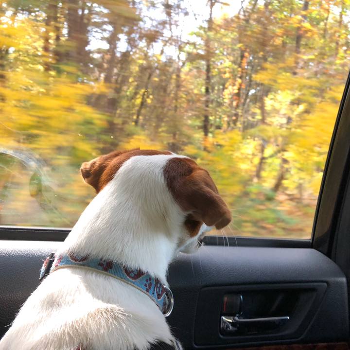 A8131b41 61e2 4055 ae7e d3c7d7ed18b3 1541833688577