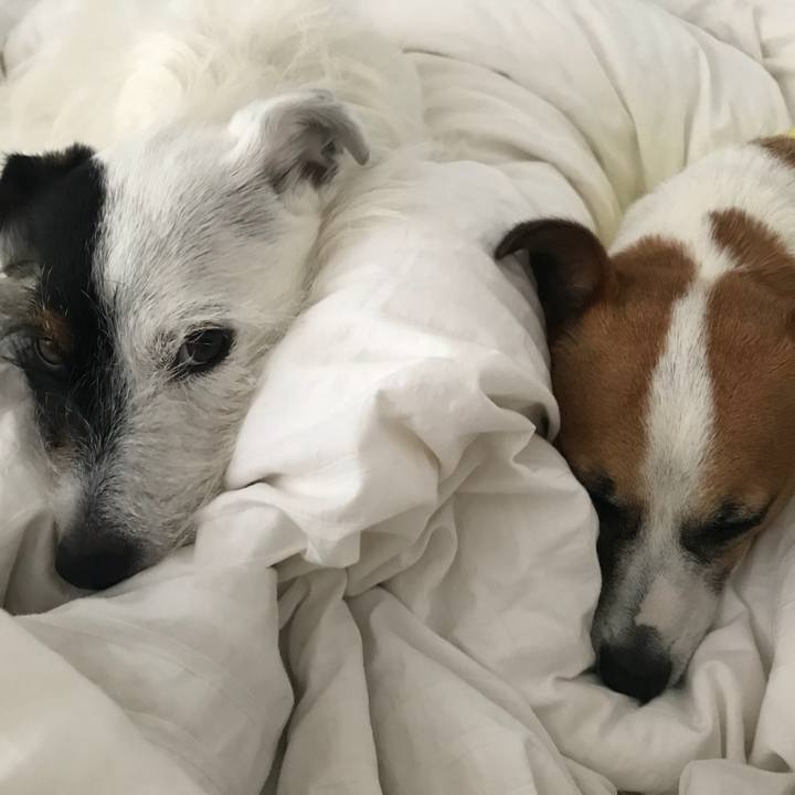 A813335c 9b02 4f9b a5d4 24bd7d6a4eb1 1528666260263