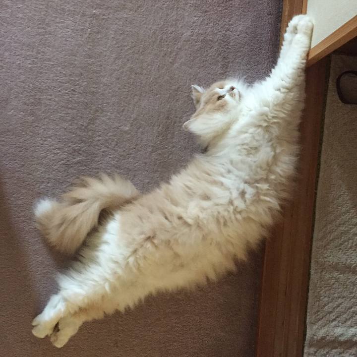 A8134849 8031 40cc b06d 88afcfaaa229 1559142756061