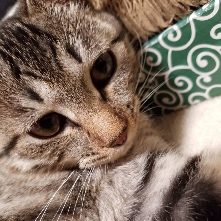 A81388dc e563 4e6d a5c2 391d27454263 1670716526008