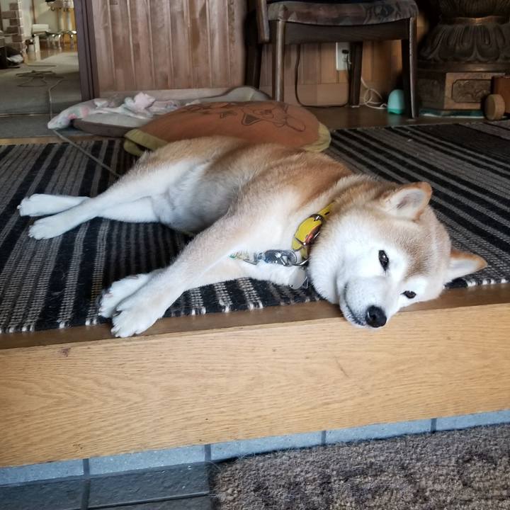 A8139f8c 27ba 48e0 a393 80543c76b99f 1691021566213