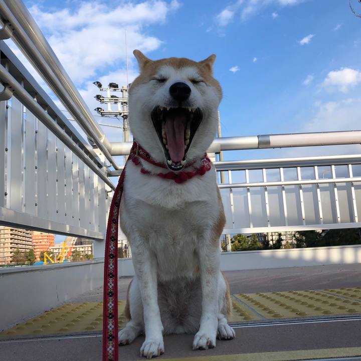 A81400f1 02be 4873 9f61 5563fec5030f 1550310318263