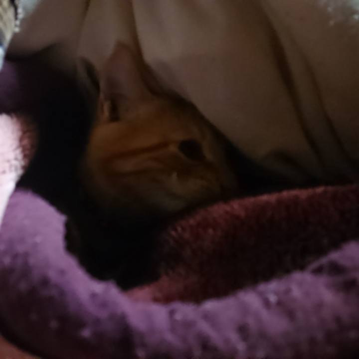 A8142153 0111 4376 8766 7c7b7dce31c4 1635365851015