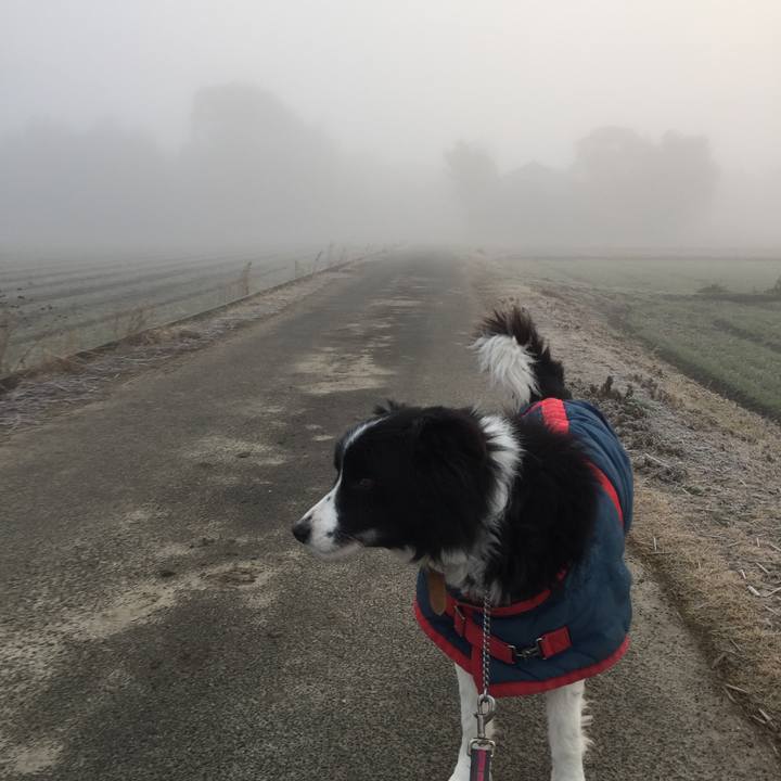 A81448fd fe11 4e09 b398 d735a19d76f0 1517611120293