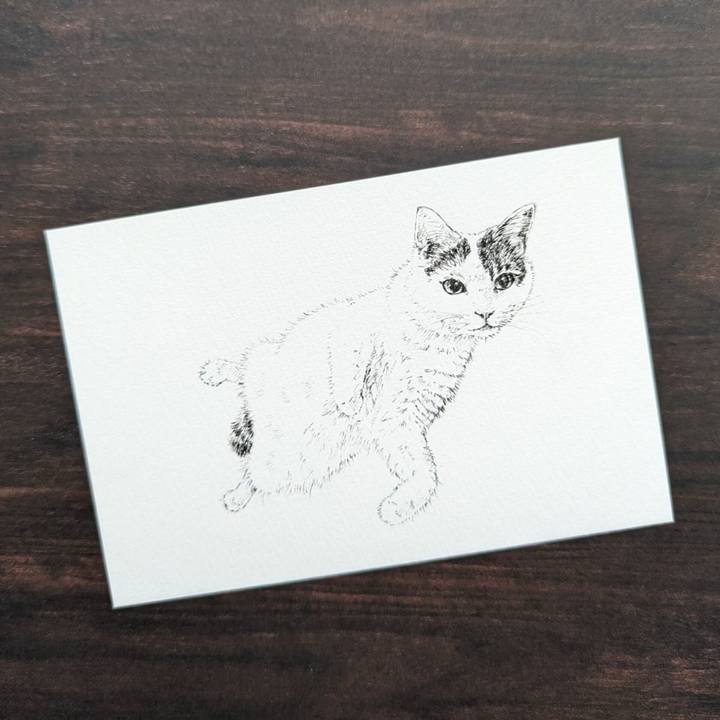 A8146021 b403 4783 9a1a 93eab4374ee5 1712647021349