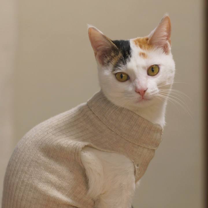 A8147131 b65e 427e 94e3 250603eb0119 1548842461598