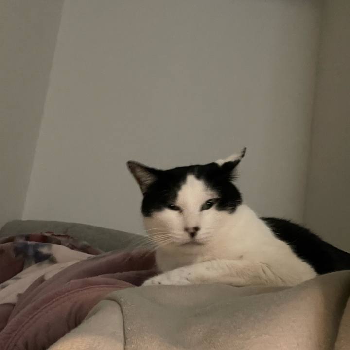 A8148ebd 777b 4136 b110 836d4d8463b9 1677485486782