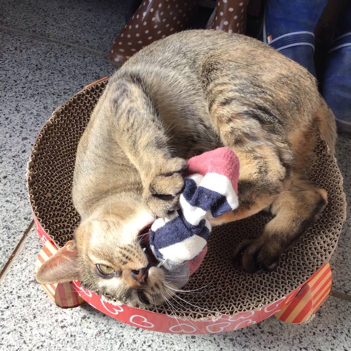 A81492d5 18e8 415f b346 1ac2aaabfdb8 1578881943843