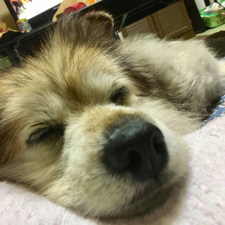 A814d169 1471 4980 a634 571b809e579e 1590960786724