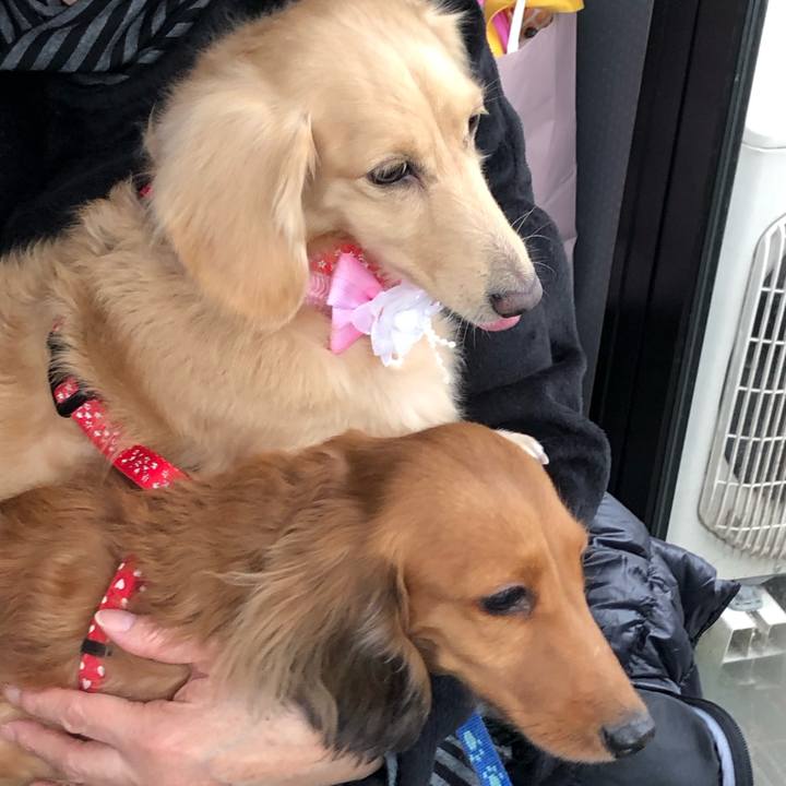 A814eba6 07d3 4201 ba63 0e969b089f4a 1544258341415